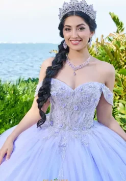 Sweet Sixteen|Plus Sized Quince Dresses^Tiffany Quinceanera 56493