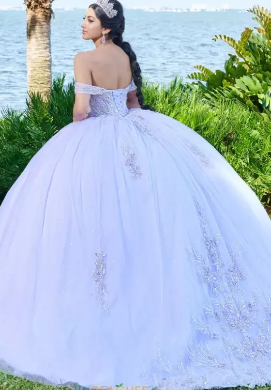 Sweet Sixteen|Plus Sized Quince Dresses^Tiffany Quinceanera 56493