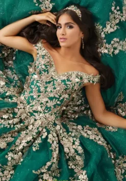 Sweet Sixteen|Plus Sized Quince Dresses^Tiffany Quinceanera 56471