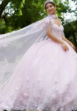 Plus Sized Quince Dresses|Sweet Sixteen^Tiffany Quinceanera 26015