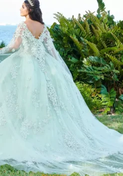 Quince Dresses With Sleeves|Plus Sized Quince Dresses^Tiffany Quinceanera 56498