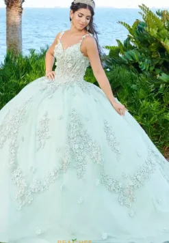 Quince Dresses With Sleeves|Plus Sized Quince Dresses^Tiffany Quinceanera 56498