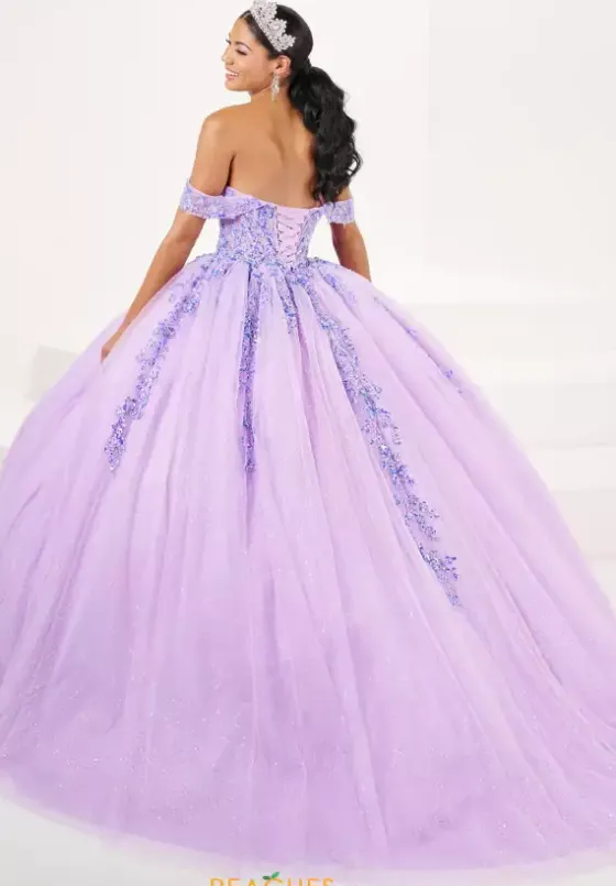 Sweet Sixteen|Plus Sized Quince Dresses^Tiffany Quinceanera 56507