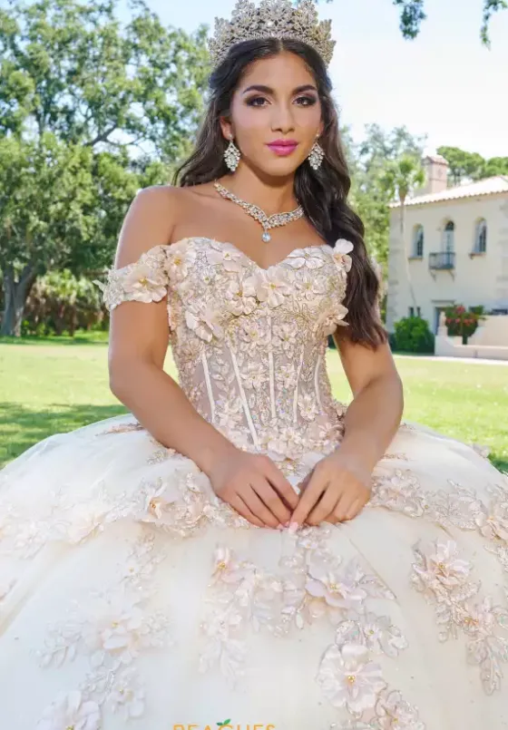 Sweet Sixteen|Plus Sized Quince Dresses^Tiffany Quinceanera 26073