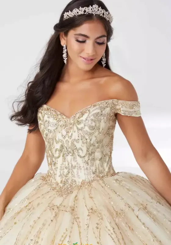 Sweet Sixteen|Plus Sized Quince Dresses^Tiffany Quinceanera 56463