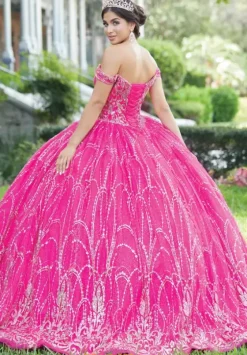 Sweet Sixteen|Plus Sized Quince Dresses^Tiffany Quinceanera 56463