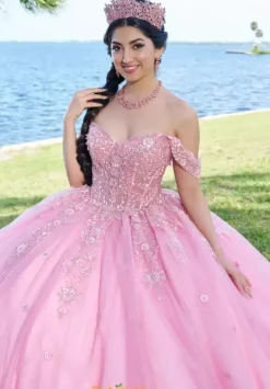 Sweet Sixteen|Plus Sized Quince Dresses^Tiffany Quinceanera 56490