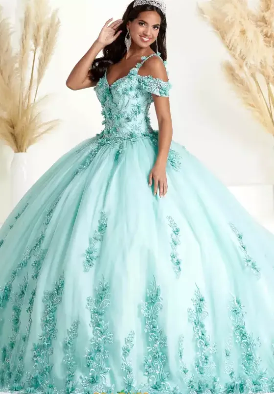 Sweet Sixteen|Plus Sized Quince Dresses^Tiffany Quinceanera 56449
