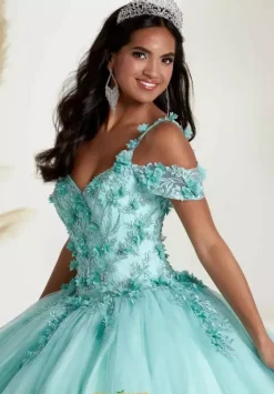 Sweet Sixteen|Plus Sized Quince Dresses^Tiffany Quinceanera 56449