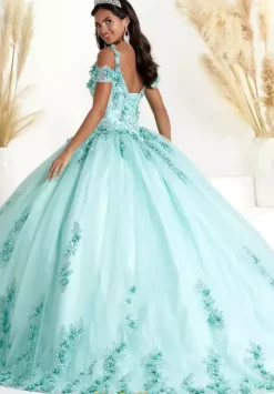 Sweet Sixteen|Plus Sized Quince Dresses^Tiffany Quinceanera 56449