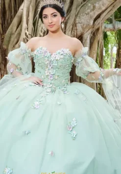 Quince Dresses With Sleeves|Plus Sized Quince Dresses^Tiffany Quinceanera 56500