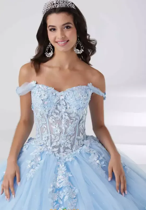 Sweet Sixteen|Plus Sized Quince Dresses^Tiffany Quinceanera 56461