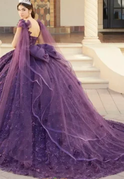 Plus Sized Quince Dresses|Sweet Sixteen^Tiffany Quinceanera 26062