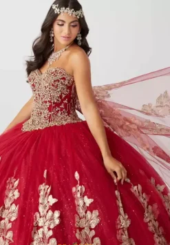 Sweet Sixteen|Plus Sized Quince Dresses^Tiffany Quinceanera 56468