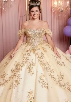 Sweet Sixteen|Plus Sized Quince Dresses^Vizcaya Quinceanera 89520