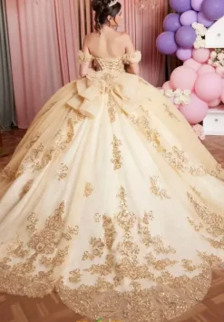 Sweet Sixteen|Plus Sized Quince Dresses^Vizcaya Quinceanera 89520