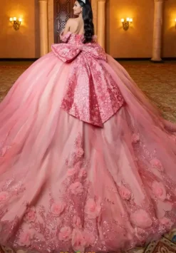 Plus Sized Quince Dresses|Sweet Sixteen^Vizcaya Quinceanera 4080032