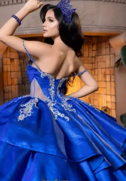 Plus Sized Quince Dresses|Sweet Sixteen^Vizcaya Quinceanera 4080007 Regal Royal/Silver