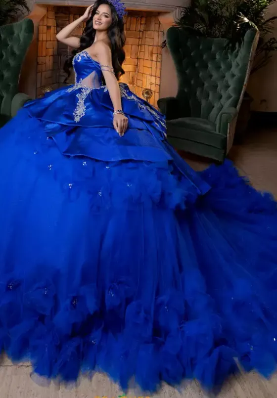 Plus Sized Quince Dresses|Sweet Sixteen^Vizcaya Quinceanera 4080007 Regal Royal/Silver