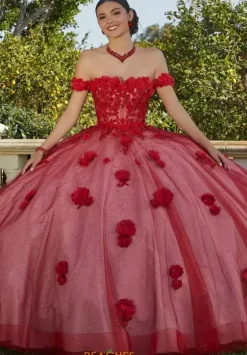 Sweet Sixteen|Plus Sized Quince Dresses^Vizcaya Quinceanera 60185