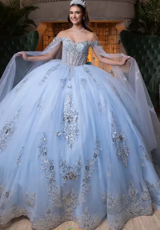 Quince Dresses With Sleeves|Plus Sized Quince Dresses^Vizcaya Quinceanera 4080004