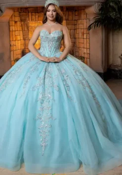 Plus Sized Quince Dresses|Sweet Sixteen^Vizcaya Quinceanera 4080026