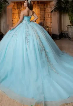 Plus Sized Quince Dresses|Sweet Sixteen^Vizcaya Quinceanera 4080026