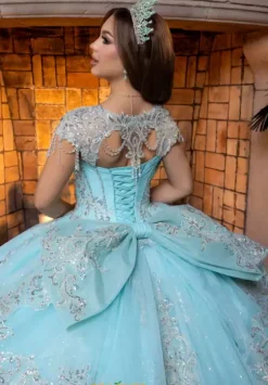 Plus Sized Quince Dresses|Sweet Sixteen^Vizcaya Quinceanera 4080026