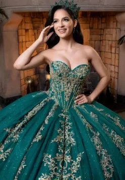 Plus Sized Quince Dresses|Sweet Sixteen^Vizcaya Quinceanera 4080026