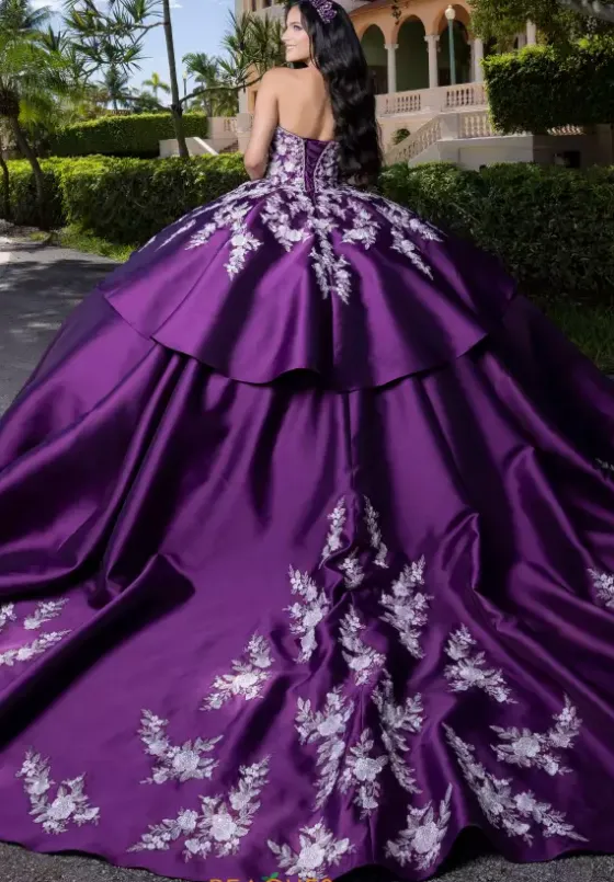 Plus Sized Quince Dresses|Sweet Sixteen^Vizcaya Quinceanera 4080016
