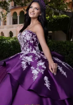 Plus Sized Quince Dresses|Sweet Sixteen^Vizcaya Quinceanera 4080016