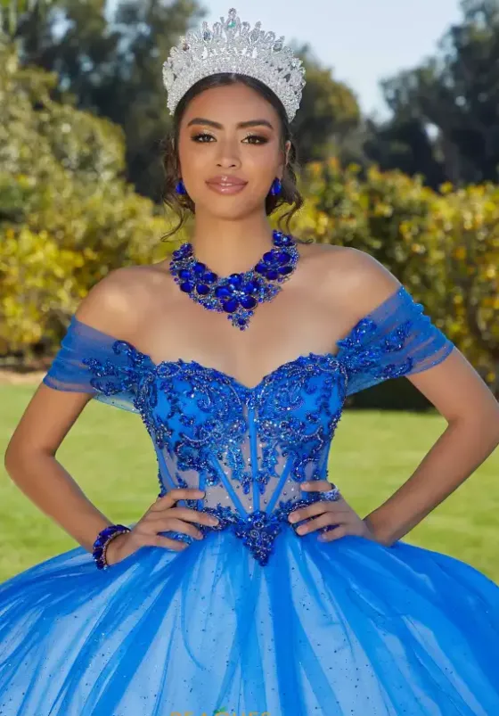 Sweet Sixteen|Plus Sized Quince Dresses^Vizcaya Quinceanera 89427