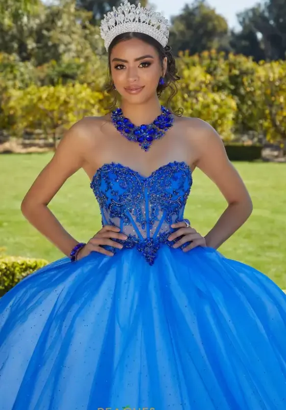 Sweet Sixteen|Plus Sized Quince Dresses^Vizcaya Quinceanera 89427