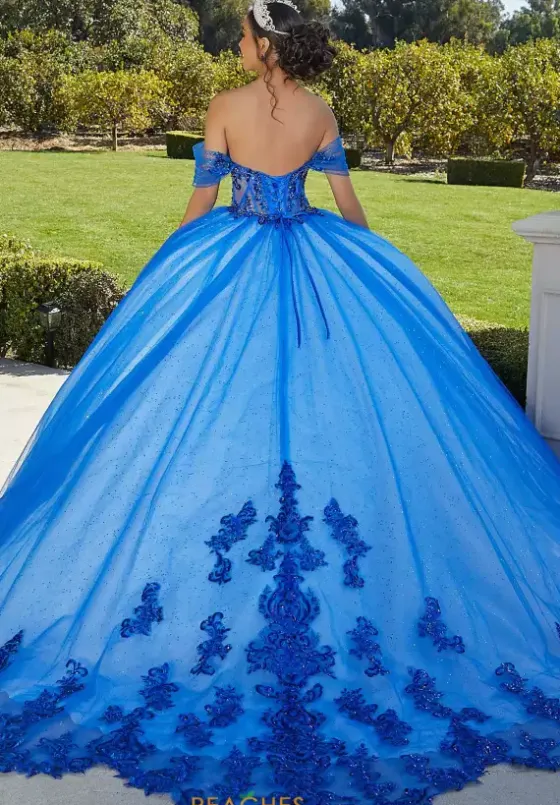 Sweet Sixteen|Plus Sized Quince Dresses^Vizcaya Quinceanera 89427