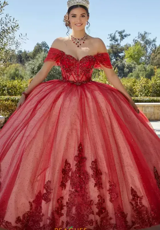 Sweet Sixteen|Plus Sized Quince Dresses^Vizcaya Quinceanera 89427