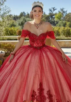 Sweet Sixteen|Plus Sized Quince Dresses^Vizcaya Quinceanera 89427
