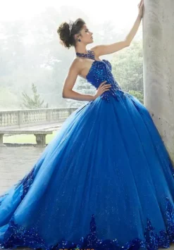 Quince Dresses With Sleeves|Plus Sized Quince Dresses^Vizcaya Quinceanera 60110