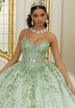 Sweet Sixteen|Plus Sized Quince Dresses^Vizcaya Quinceanera 89472