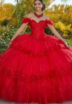 Sweet Sixteen|Plus Sized Quince Dresses^Vizcaya Quinceanera 89433