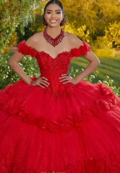 Sweet Sixteen|Plus Sized Quince Dresses^Vizcaya Quinceanera 89433