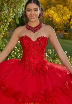 Sweet Sixteen|Plus Sized Quince Dresses^Vizcaya Quinceanera 89433