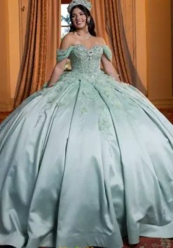 Plus Sized Quince Dresses|Sweet Sixteen^Vizcaya Quinceanera 4080006