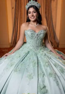 Plus Sized Quince Dresses|Sweet Sixteen^Vizcaya Quinceanera 4080006