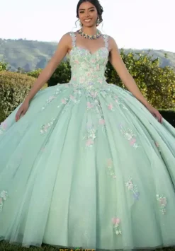 Sweet Sixteen|Plus Sized Quince Dresses^Vizcaya Quinceanera 89424