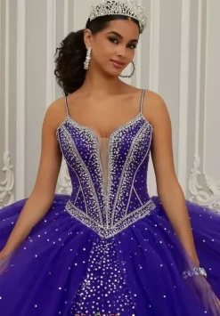 Sweet Sixteen|Plus Sized Quince Dresses^Vizcaya Quinceanera 60201