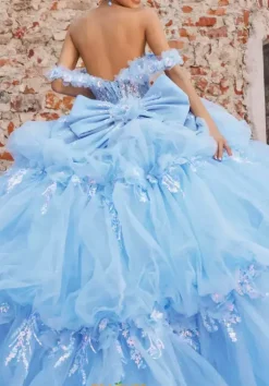 Sweet Sixteen|Plus Sized Quince Dresses^Vizcaya Quinceanera 89536