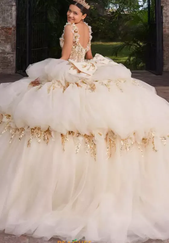 Sweet Sixteen|Plus Sized Quince Dresses^Vizcaya Quinceanera 89536