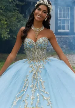 Sweet Sixteen|Plus Sized Quince Dresses^Vizcaya Quinceanera 89458