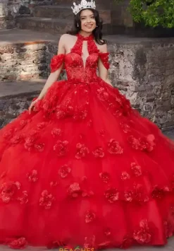 Plus Sized Quince Dresses|Sweet Sixteen^Vizcaya Quinceanera 89538