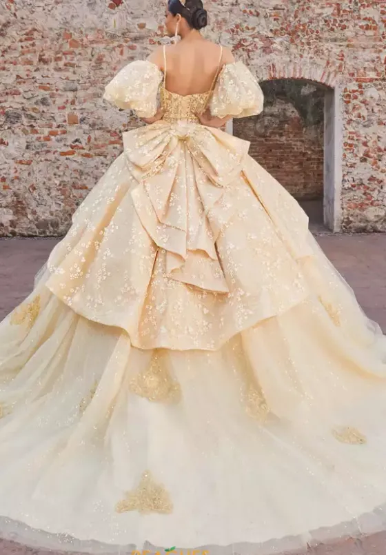 Plus Sized Quince Dresses|Sweet Sixteen^Vizcaya Quinceanera 89537